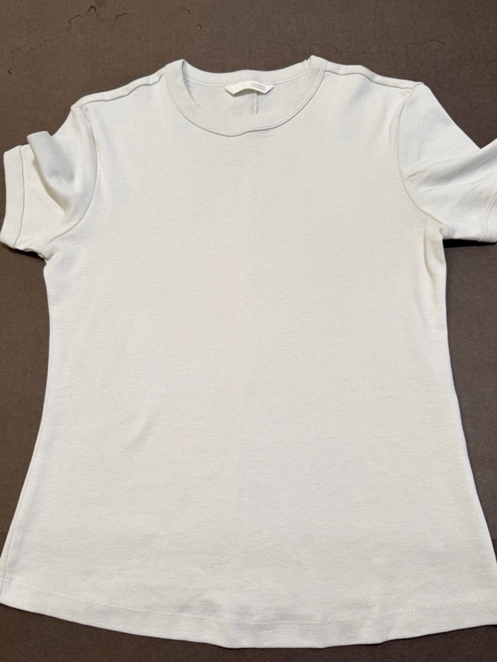 Zara NWOT pale gray tee Sz XS/S